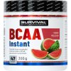 Survival BCAA Instant - 300 g, broskev