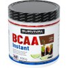 Survival BCAA Instant - 300 g, energy