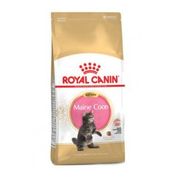 Royal Canin Breed Feline Kitten Maine Coon 10 kg