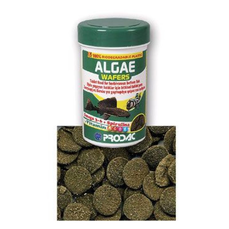 Krmivo pro ryby Prodac Algae Wafers 50 g