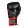 Boxerské rukavice DBX BB4 10 oz