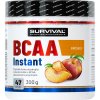 Survival BCAA Instant - 300 g, ananas