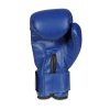 Boxerské rukavice DBX BUSHIDO ARB-407v4 6 oz.