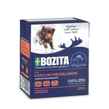 Bozita DOG Naturals BIG Salmon / losos 370 g