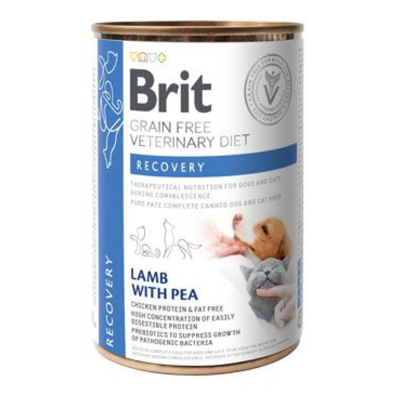 Brit VD Dog+Cat GF konz. Recovery 400 g