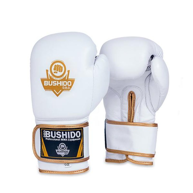 Boxerské rukavice DBX BUSHIDO DBD-B-2 10 oz