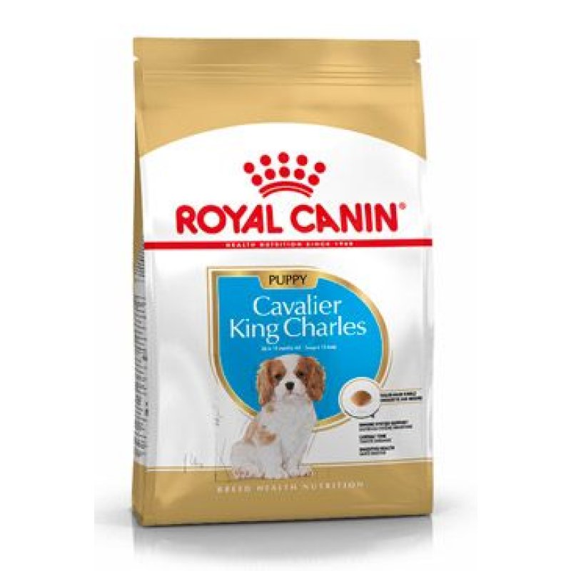 Royal Canin Breed Kavalír King Charles Junior 1,5 kg