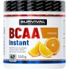 Survival BCAA Instant - 300 g, broskev