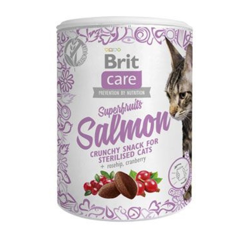 Brit Care Cat Snack Superfruits Salmon 100 g