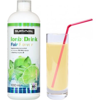 Survival Ionix Drink Fair Power 1000 ml, mojito