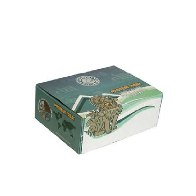 Pochoutka 4EI Protein treat BOX S 65 ks Kiwi