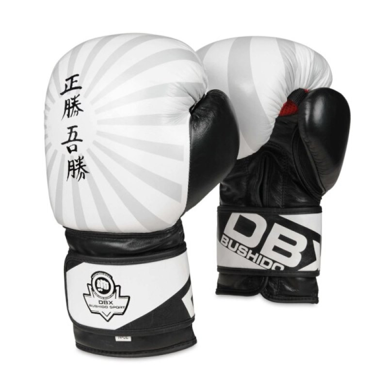 Boxerské rukavice DBX BUSHIDO B-2v8 10 oz