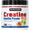 Survival Creatine Monohydrate Gentle Power 320 g, marakuja