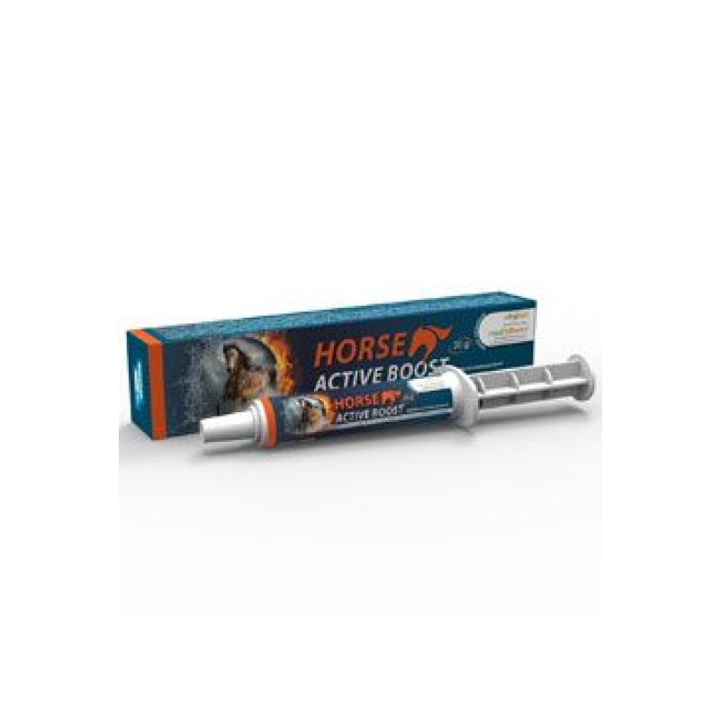 Horse Active Boost perorální pasta 1 x 20 g