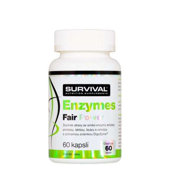 Jak přežít intenzivní tréninkový plán bez zažívacích potíží: Představujeme Survival Enzymes Fair Power