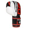 Boxerské rukavice DBX BUSHIDO B-2v7 10 oz