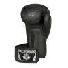 Boxerské rukavice DBX BUSHIDO B-2v18 vel. 8 oz