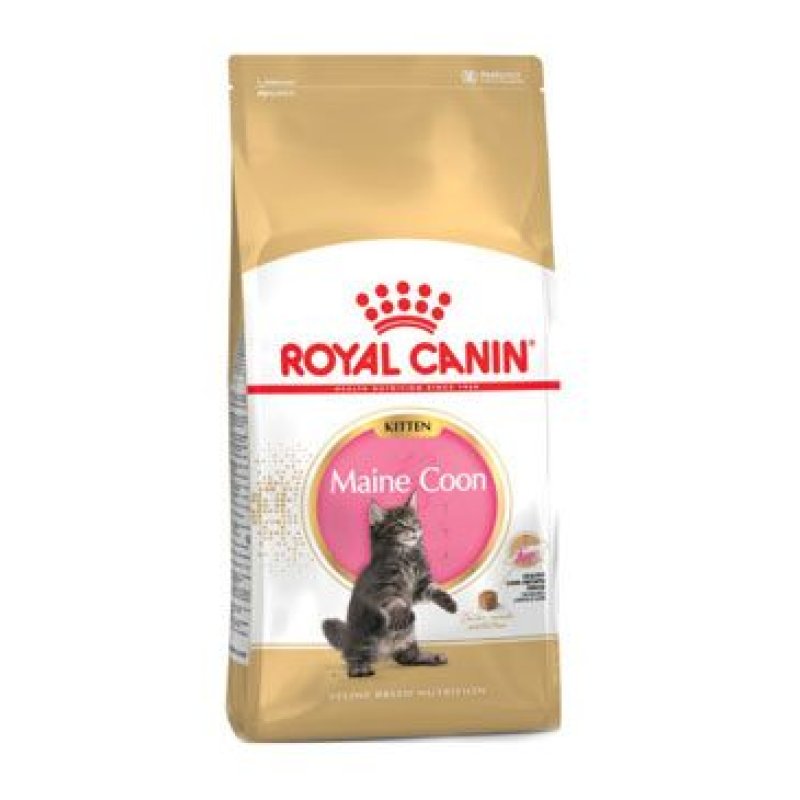 Royal Canin Breed Feline Kitten Maine Coon 10 kg