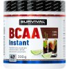 Survival BCAA Instant - 300 g, broskev