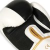 Boxerské rukavice DBX BUSHIDO B-2v16 vel. 8 oz