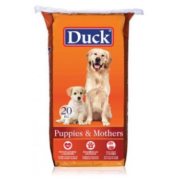 Duck Dog Puppies Mothers 20 kg