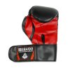 Boxerské rukavice DBX BUSHIDO ARB-407 vel. 6 oz