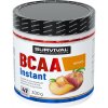 Survival BCAA Instant - 300 g, energy