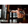 Boxerské rukavice DBX BUSHIDO B-3W Pro 10 oz