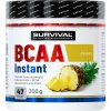 Survival BCAA Instant - 300 g, energy