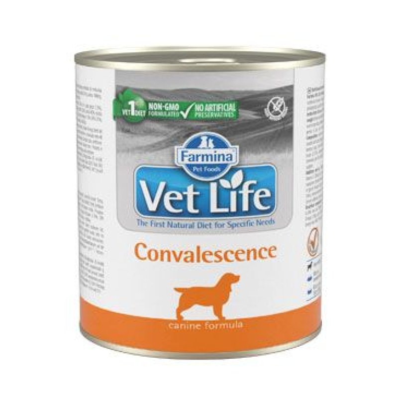 Vet Life Natural Dog konz. Convalescence 300 g