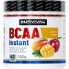 Survival BCAA Instant - 300 g, energy