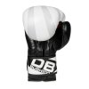 Boxerské rukavice DBX BUSHIDO B-2v8 10 oz