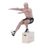 Plyo Box HMS DSC04