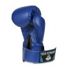 Boxerské rukavice DBX BUSHIDO ARB-407v4 6 oz.