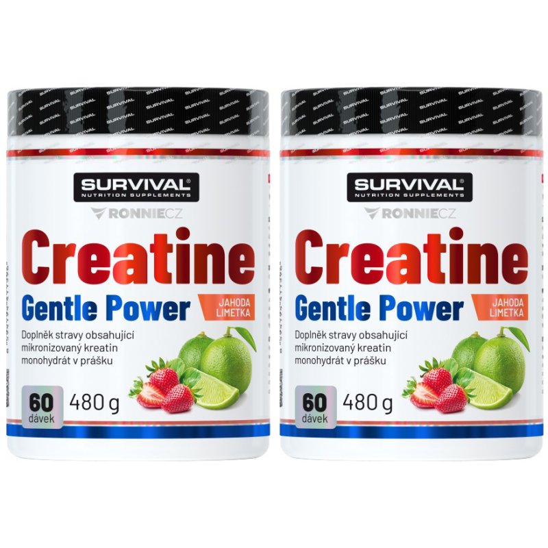 Survival Creatine Monohydrate 480 g, limeta-jahoda - AKCE 1+1