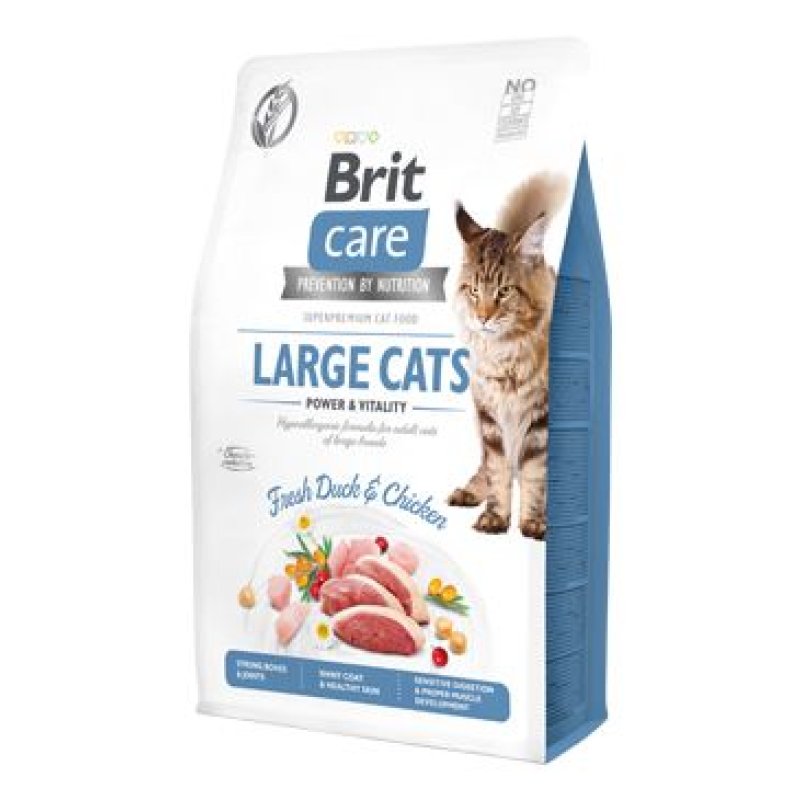 Brit Care Cat GF Large cats Power&Vitality 2 kg