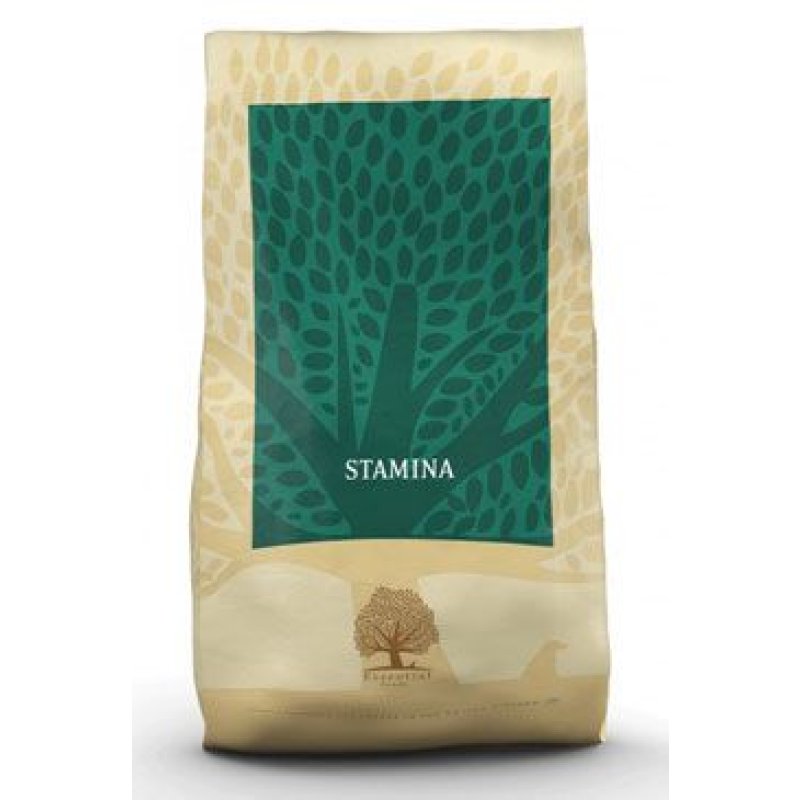 Essential Stamina 10 kg