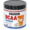 Survival BCAA Instant - 300 g, energy