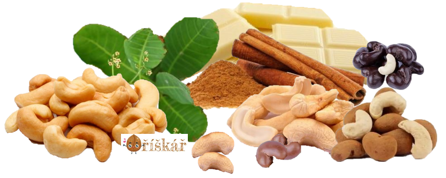 Vlašské ořechy se SKOŘICÍ v mléčné čokoládě - 250 g